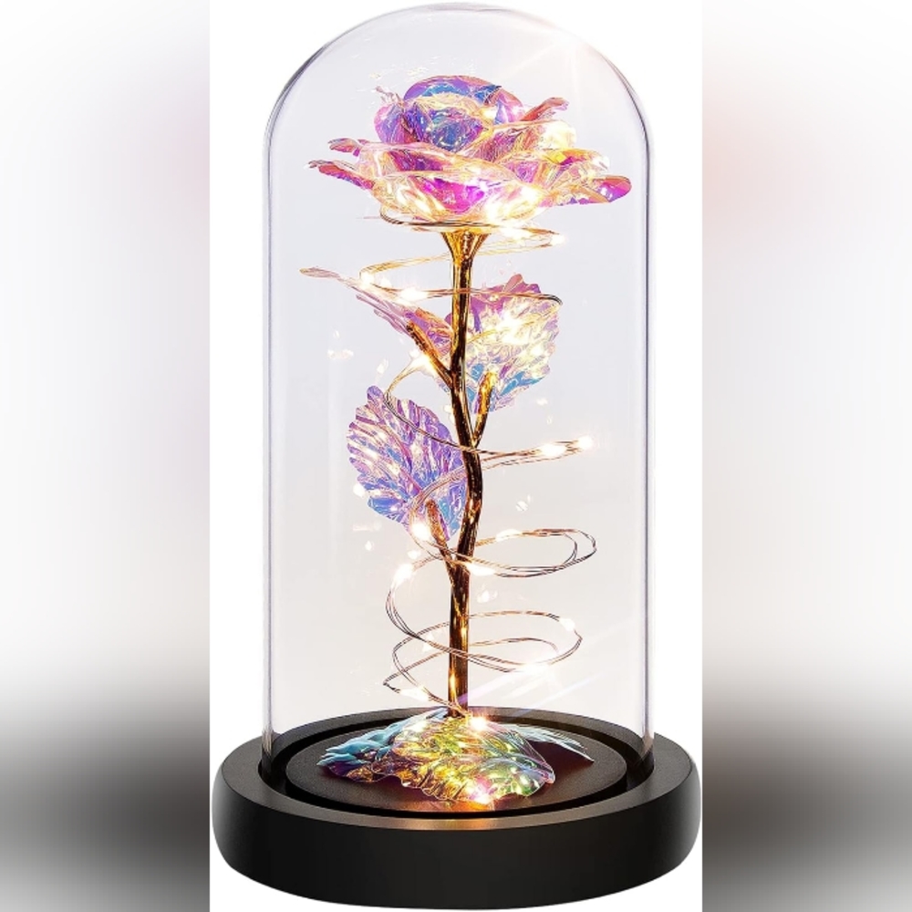 Beautiful Enchanted Rose